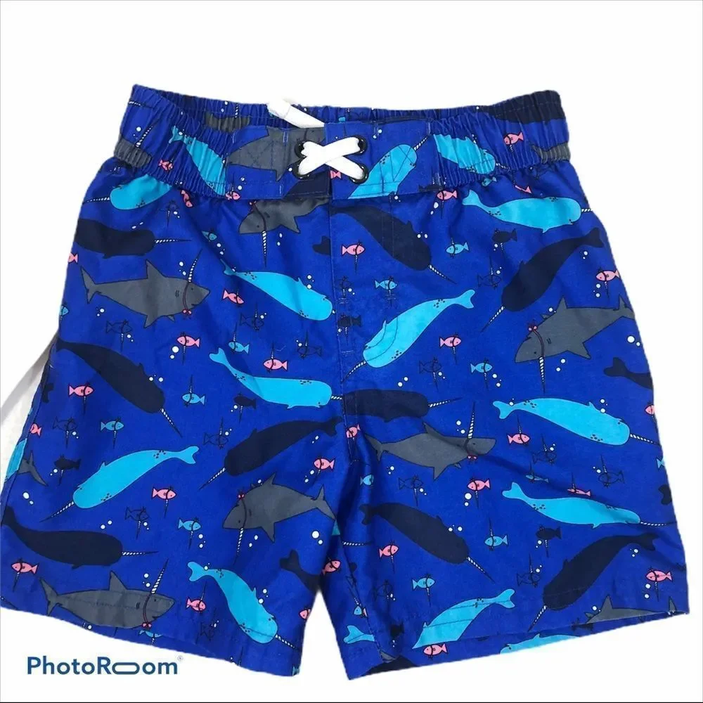 Lot of two Pairs of Boys 4T Swim Trunks‎